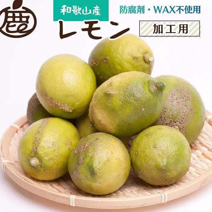 ＜9月より発送＞加工用 黒潮レモン5kg+150g（傷み補償分）【和歌山有田産】【防腐剤・WAX不使用、安心の国産レモン】【わけあり・訳ありレモン】【果汁用】