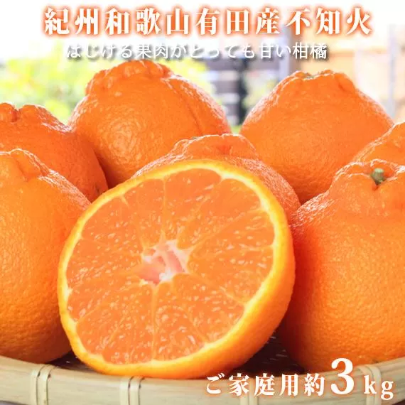［ご家庭用訳あり］紀州有田産不知火(しらぬひ) 約3kg［2026年2月中旬以降発送］［先行予約］［UT135］