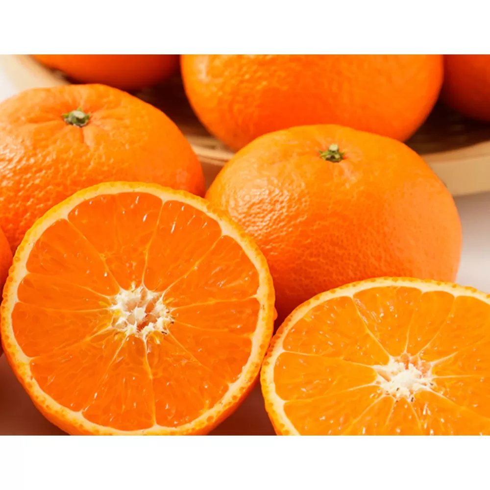 家庭用 森本農園の手選別 津の輝 約5kg 和歌山県産 サイズ混合［北海道・沖縄・離島配送不可］［RN147］