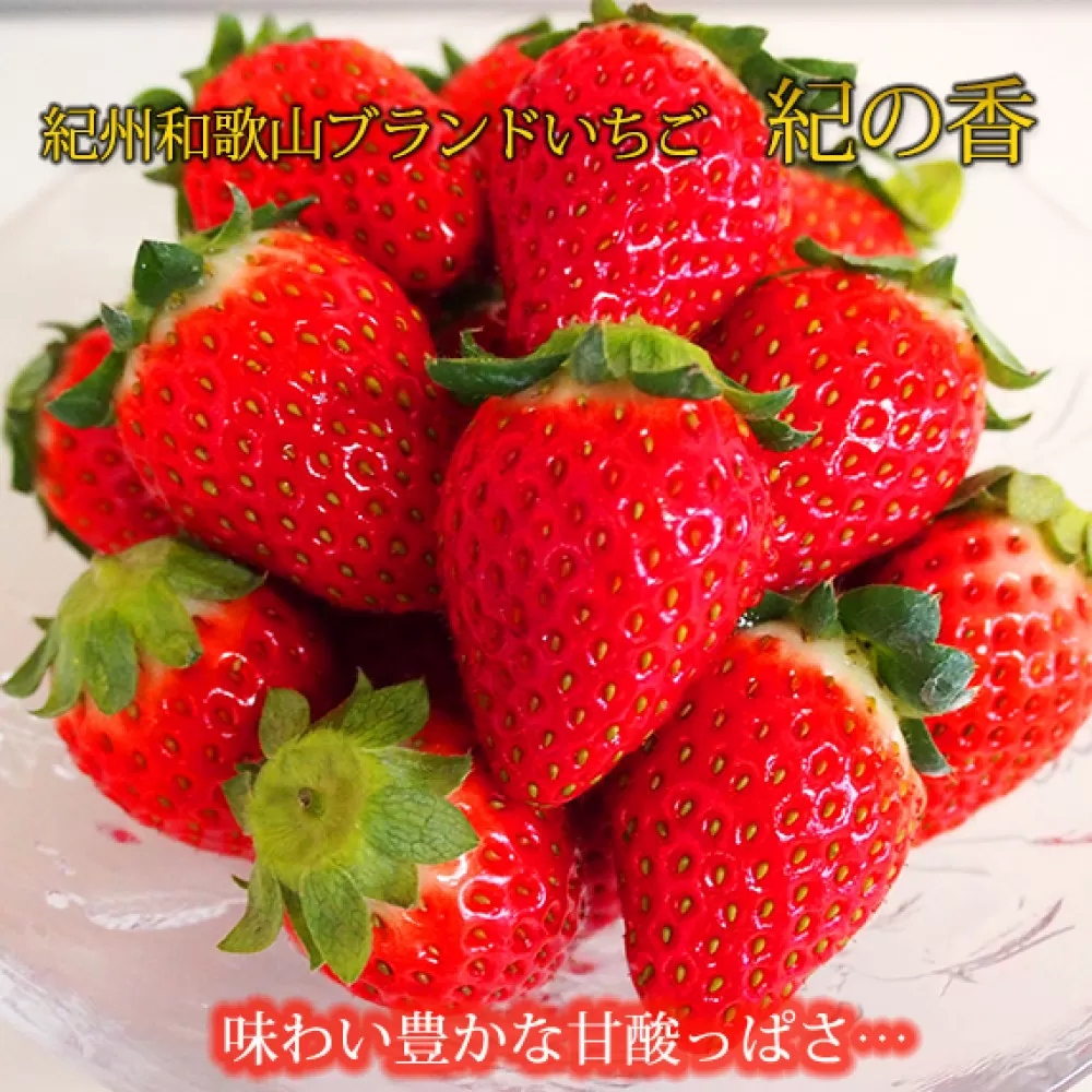 紀州和歌山ブランドいちご「紀の香」約250g×4P ［UT143］