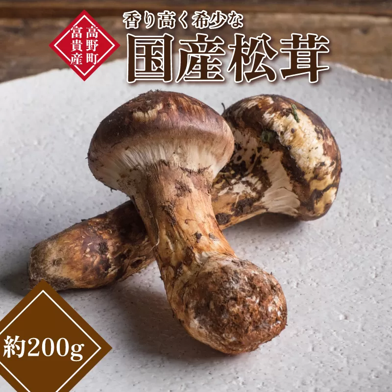 和歌山県産 香り高く希少な国産 松茸 約200g【2025年10月中旬頃より順次発送】【OKT1】
