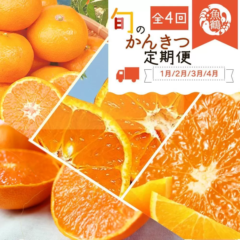 【定期便・指定月（1・2・3・4月）全4回】紀州和歌山産 旬の柑橘 セット (みかん・不知火・せとか・清見) ［UT137］