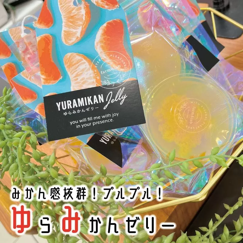 旬の2個入りゼリー05袋 みかんの美味しさぎゅっと詰めました