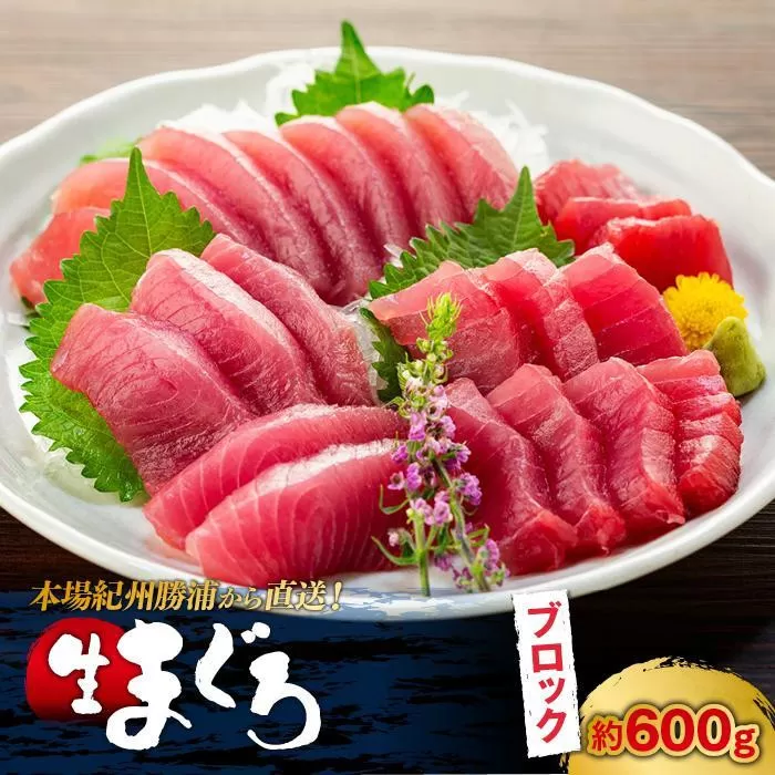 生まぐろの本場紀州勝浦から直送！生メバチマグロ 600g
