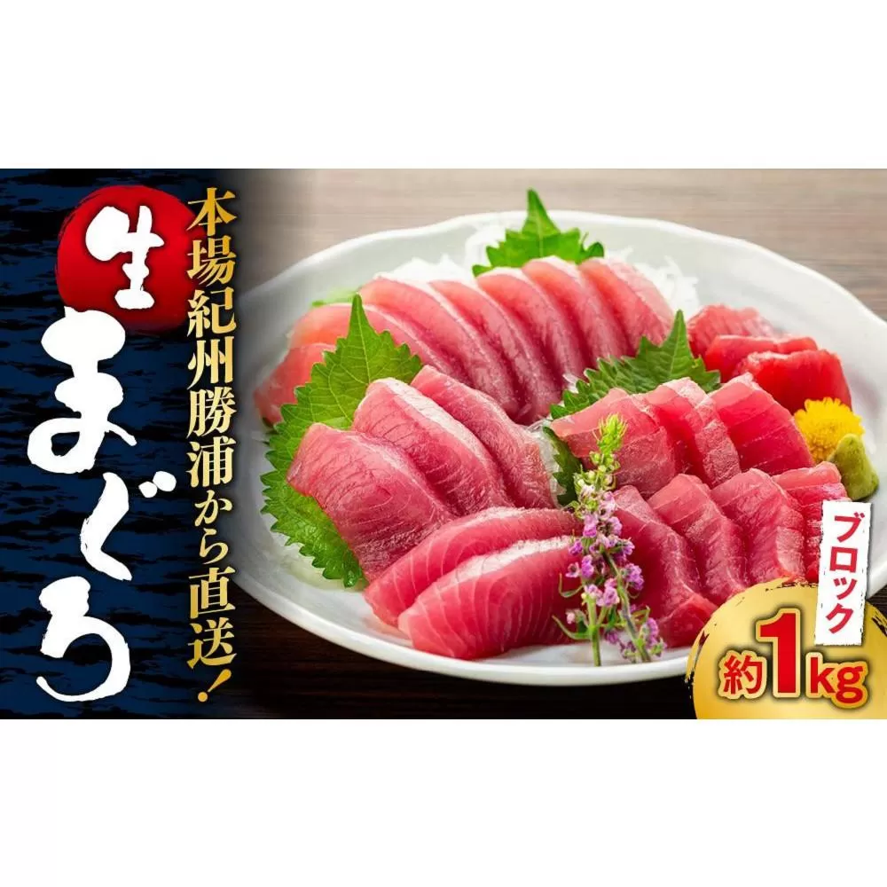 【定期便全3回】生まぐろの本場紀州勝浦から直送！ 生メバチマグロ 約1kg（1カ月に1回お届け）（全3ヵ月）