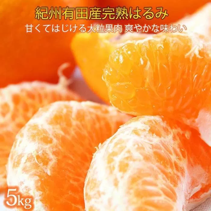 果肉ぷりぷり!完熟はるみ　５ｋｇ【2026年2月中旬頃〜2026年2月下旬頃に順次発送】【UT22】