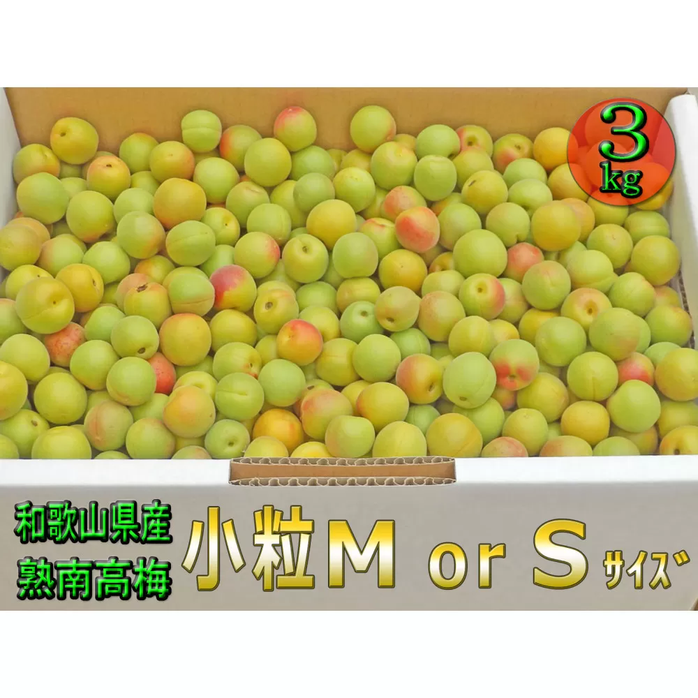 ［梅干・梅酒用］小粒（SまたはM−3Kg）熟南高梅＜2026年6月下旬〜7月中旬発送予定＞フルーツ 果物 くだもの 食品 人気 おすすめ 送料無料［ART20］