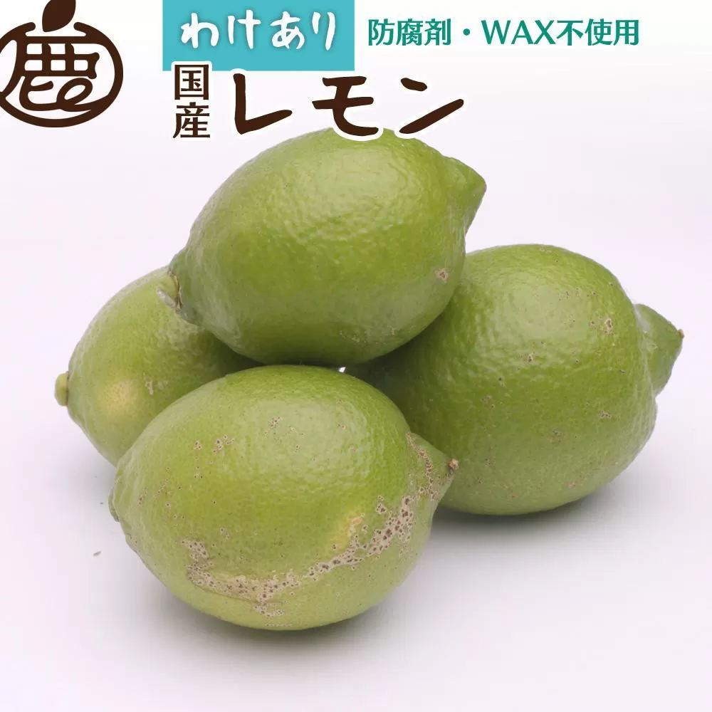 家庭用 レモン5kg+250g（傷み補償分）【和歌山有田産】【防腐剤・WAX不使用、安心の国産レモン】【わけあり・訳ありレモン】［IKE126］