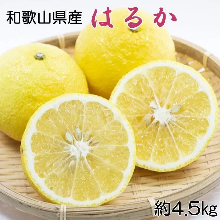 ［さわやか柑橘］和歌山県産はるかみかん約4.5kg（サイズ混合　秀品）★2026年2月下旬頃より順次発送［TM162］