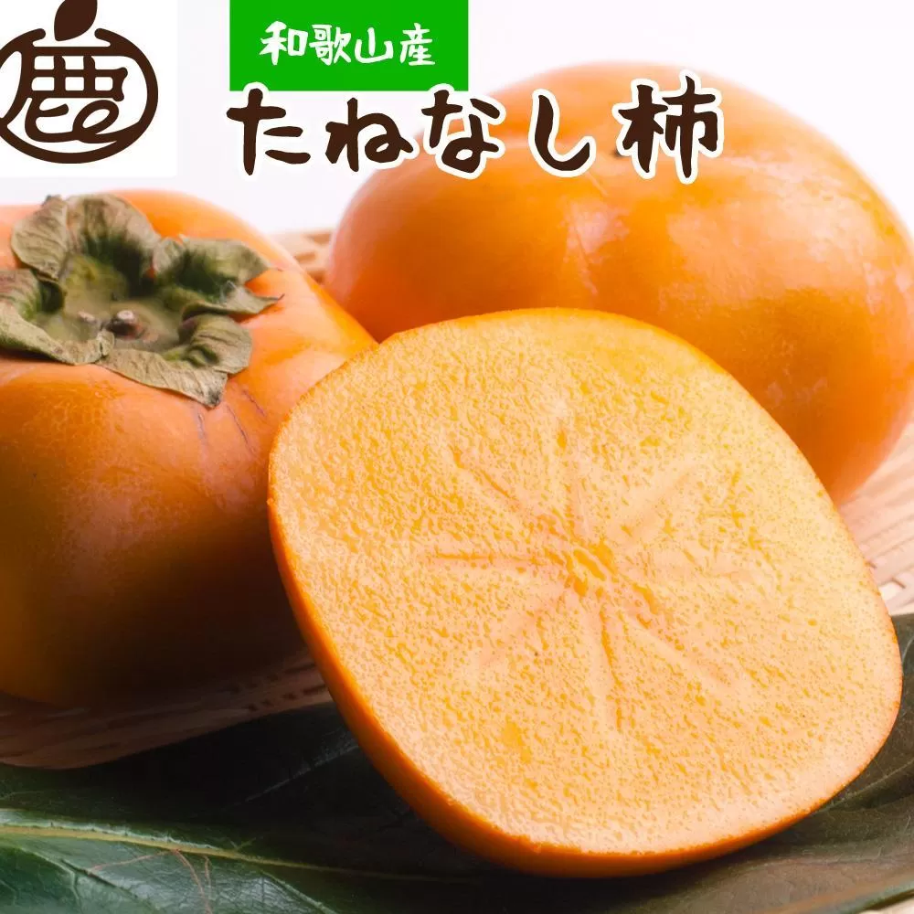 ［先行予約］厳選 たねなし柿 約10kg［刀根早生・平核無柿（ひらたねなしかき）］[カキ・種無柿・種無し柿・種なし柿・無核柿］［IKE96］