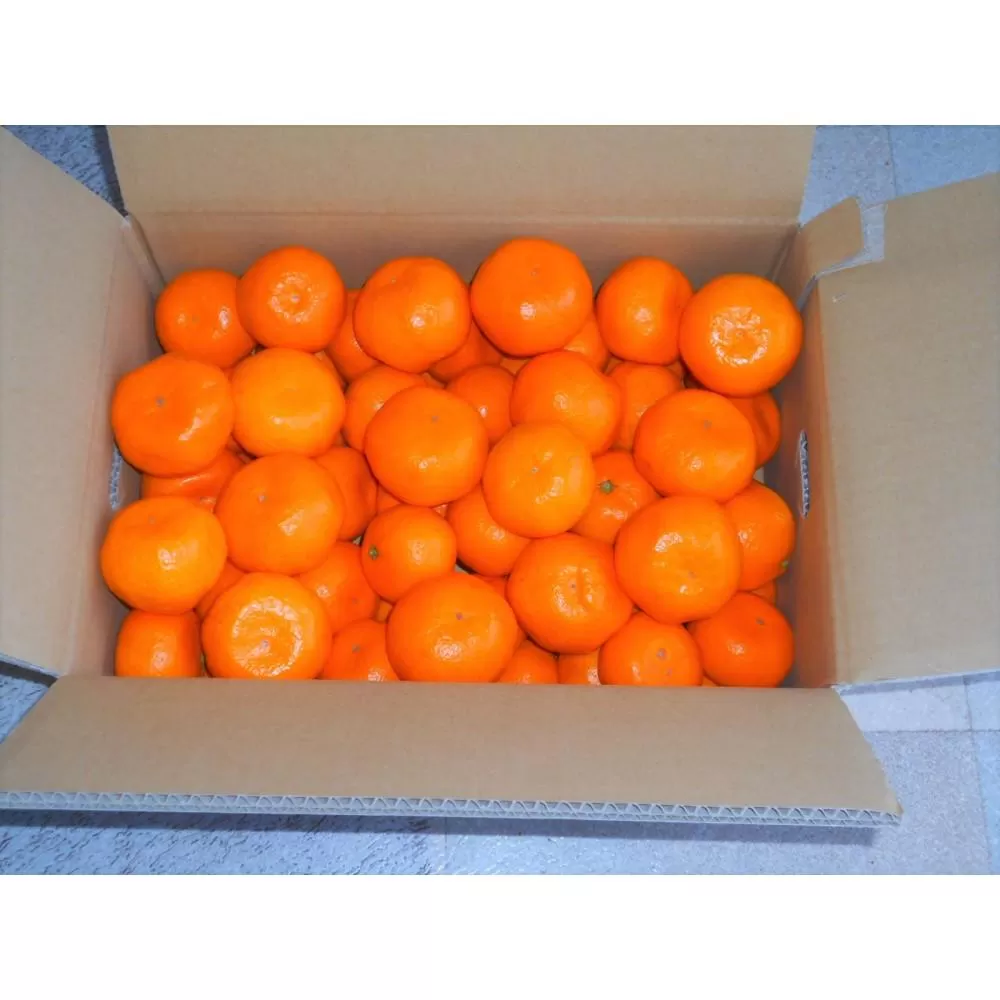 紀州有田みかん 秀品 約5kg サイズおまかせ（Ｌ・M・S）いずれかお届け［SL48］