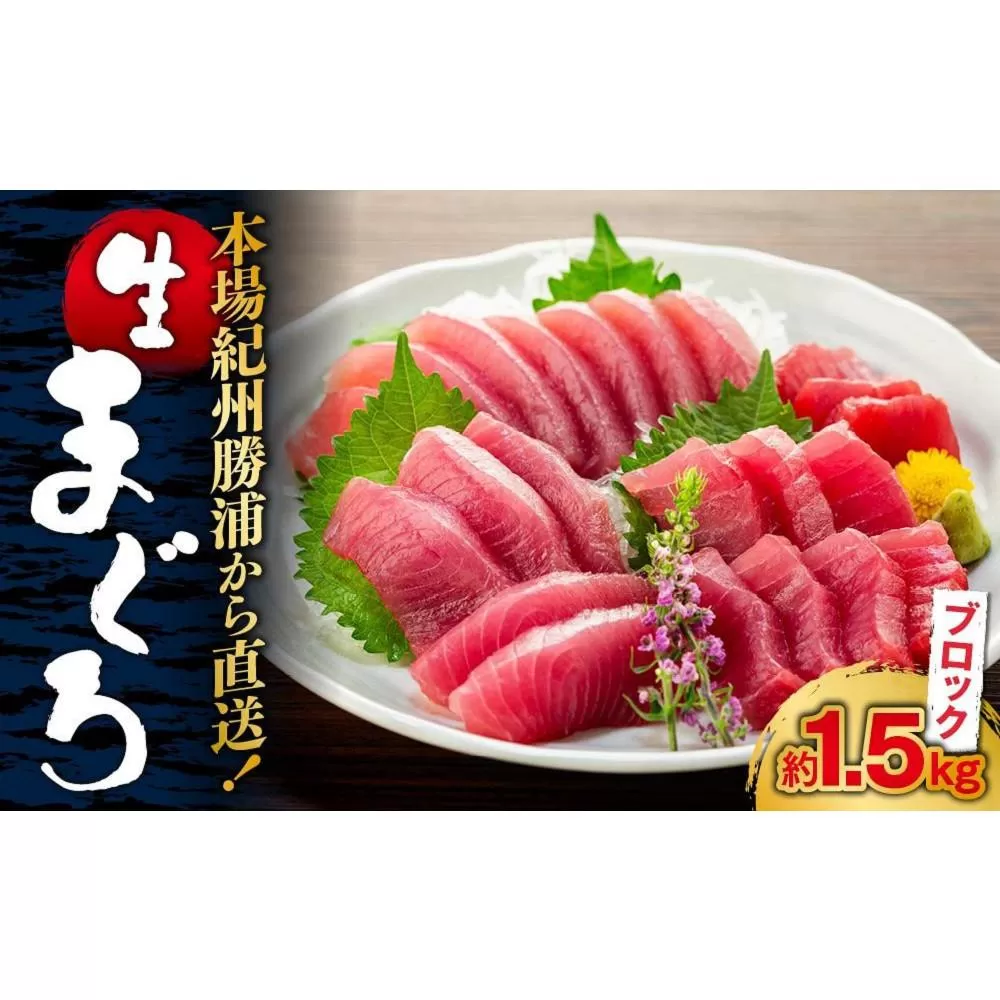 生まぐろの本場紀州勝浦から直送！生メバチマグロ 約1.5kg