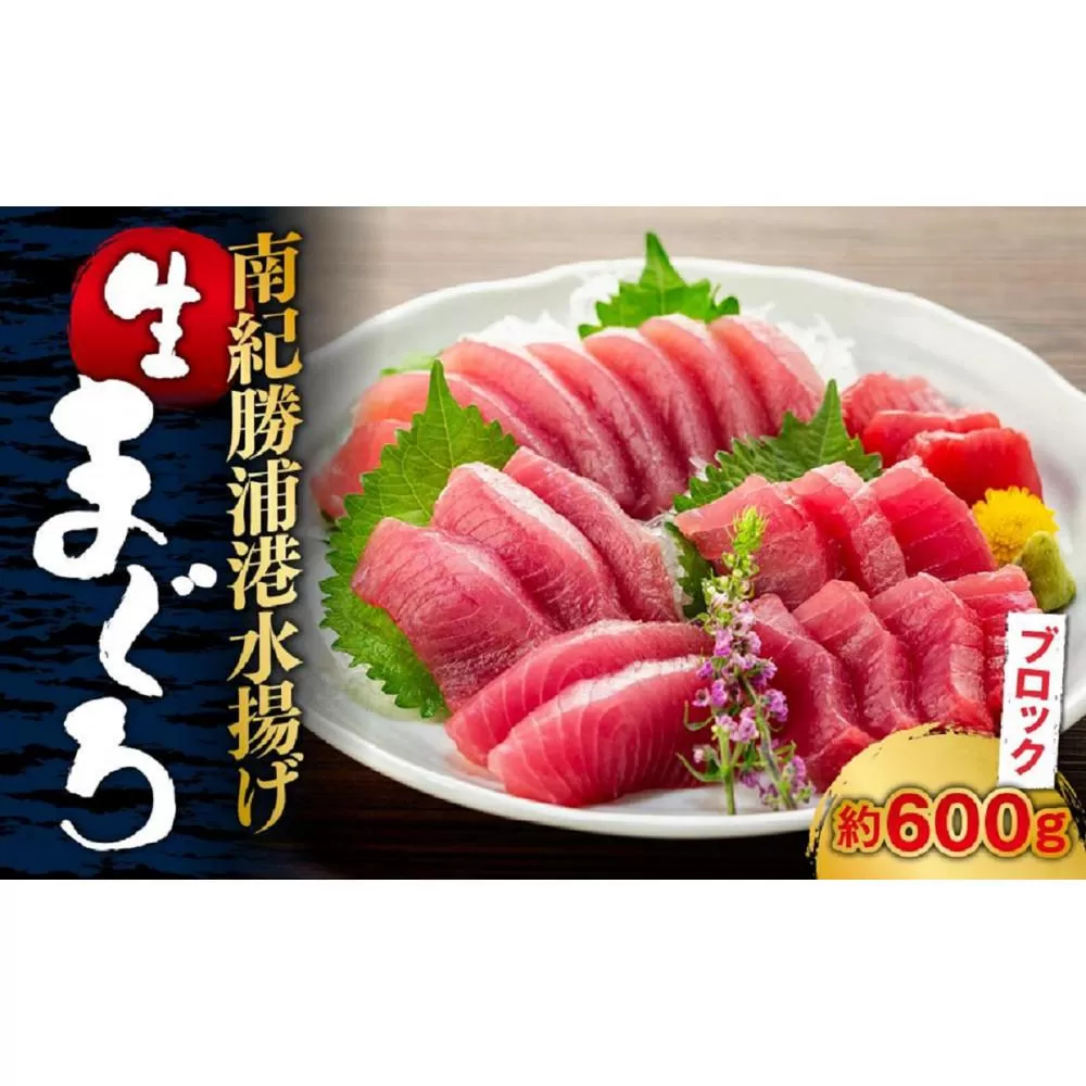生まぐろの本場紀州勝浦から直送！生メバチマグロ 600g
