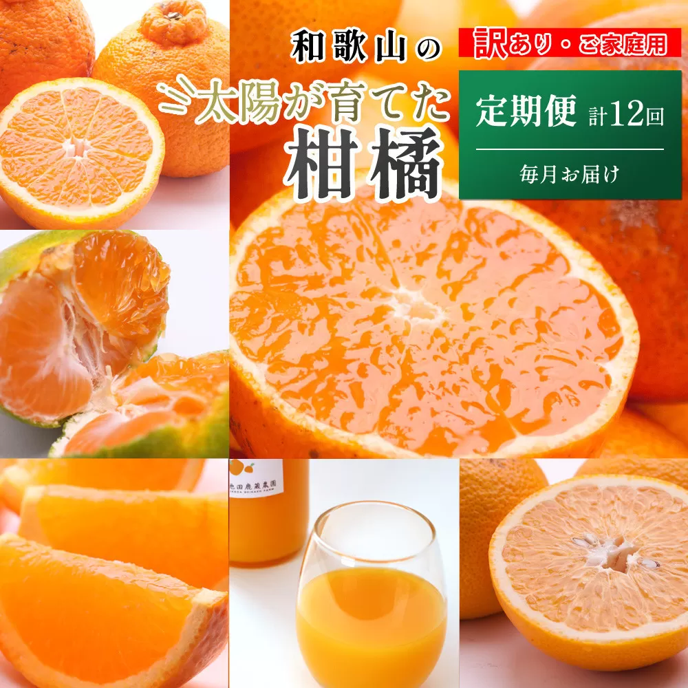家庭用 柑橘定期便M（毎月）全12回 ［IKE307］