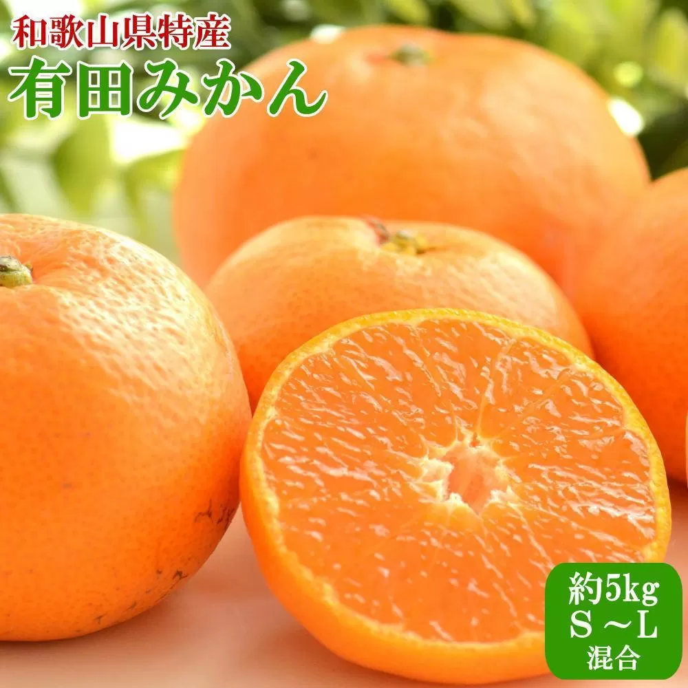 [秀品]和歌山有田みかん約5kg（S〜Lサイズ混合）★2025年11月中旬頃より順次発送【TM95】