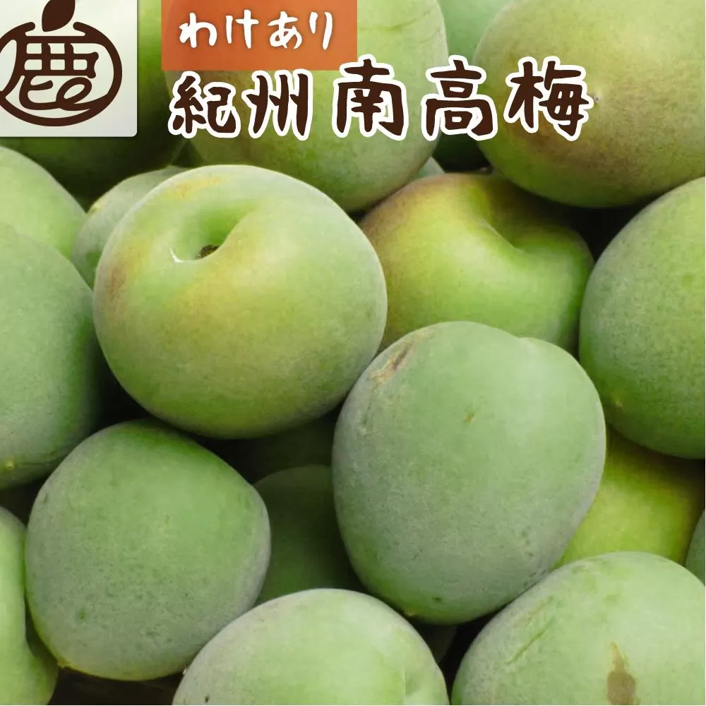 家庭用 紀州南高梅(青梅)5kg+250g（傷み補償分）【梅干し・梅ジュース】【訳あり】［IKE113］