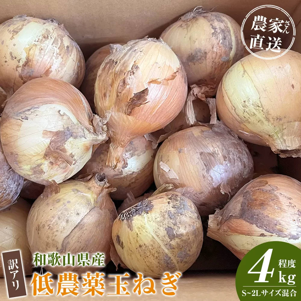［2026年発送分・先行予約］訳あり 農家さん直送 低農薬玉ねぎ 4kg程度 S〜2L混合［4月中旬〜7月中旬頃発送予定］ご家庭用 ※傷有り［KF19］