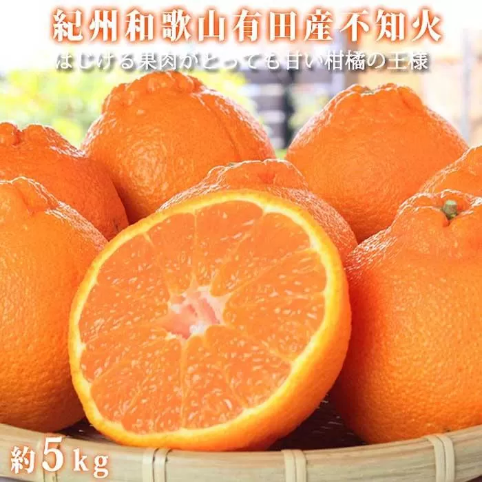 紀州有田産不知火(しらぬひ) 約５kg［2026年2月中旬以降発送］［先行予約］［UT40］