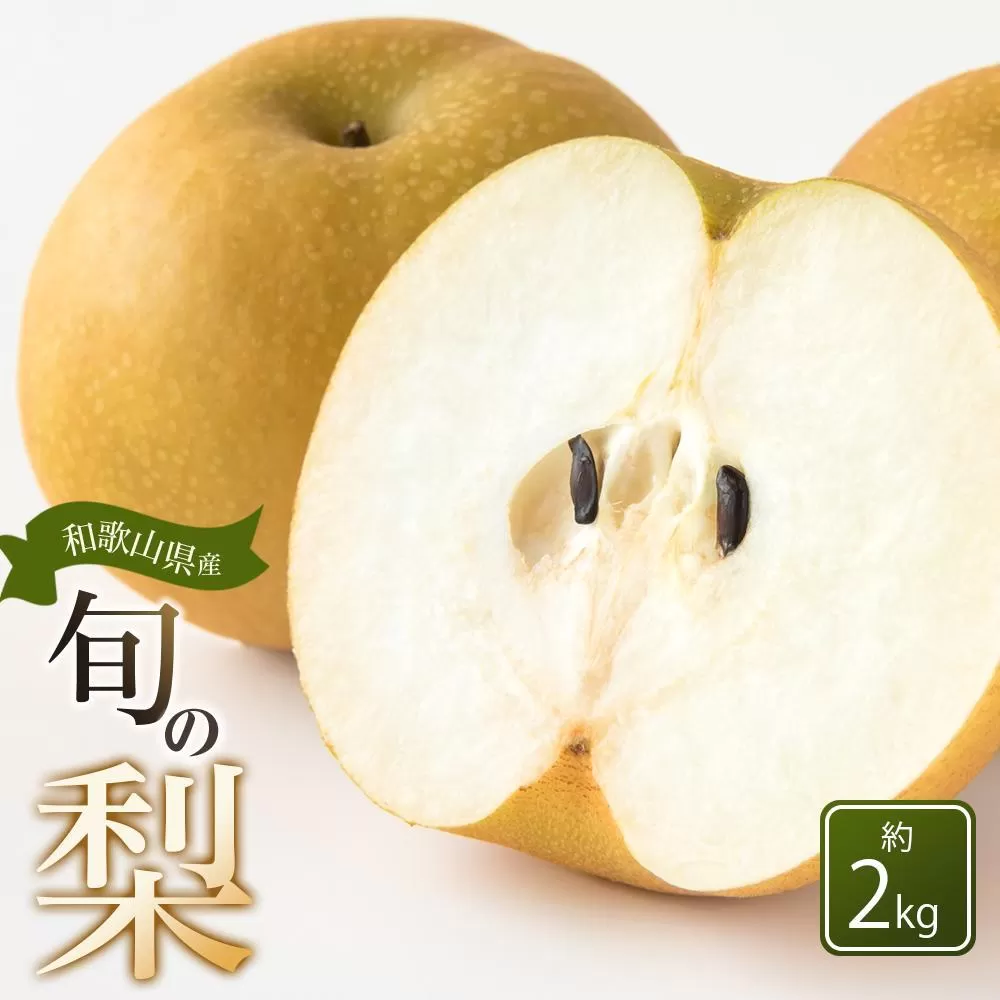 和歌山県産 旬の梨 約2kg［2025年8月中旬以降順次発送］［MG17］