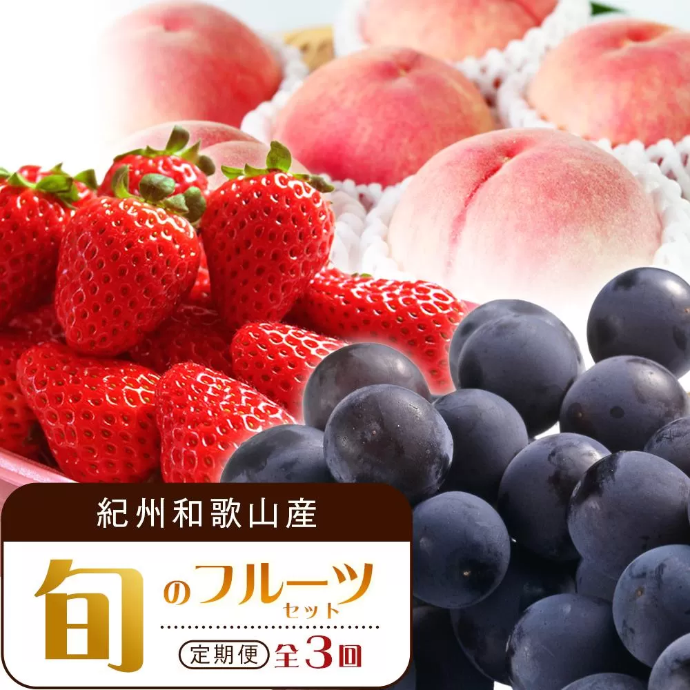 【2・7・9月 全3回】紀州和歌山産旬のフルーツセット（いちご・桃・巨峰）【UT96】