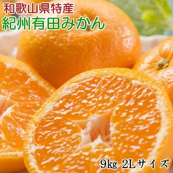 [秀品]和歌山有田みかん約9kg(2Lサイズ) ★2025年11月中旬頃より順次発送【TM85】