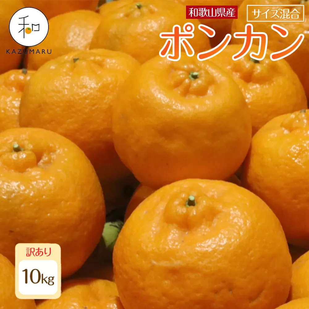 訳あり 森本農園の手選別 ポンカン 約10kg 和歌山県産 サイズ混合 ［北海道・沖縄・離島配送不可］［RN45］［2027年1月上旬から順次発送］
