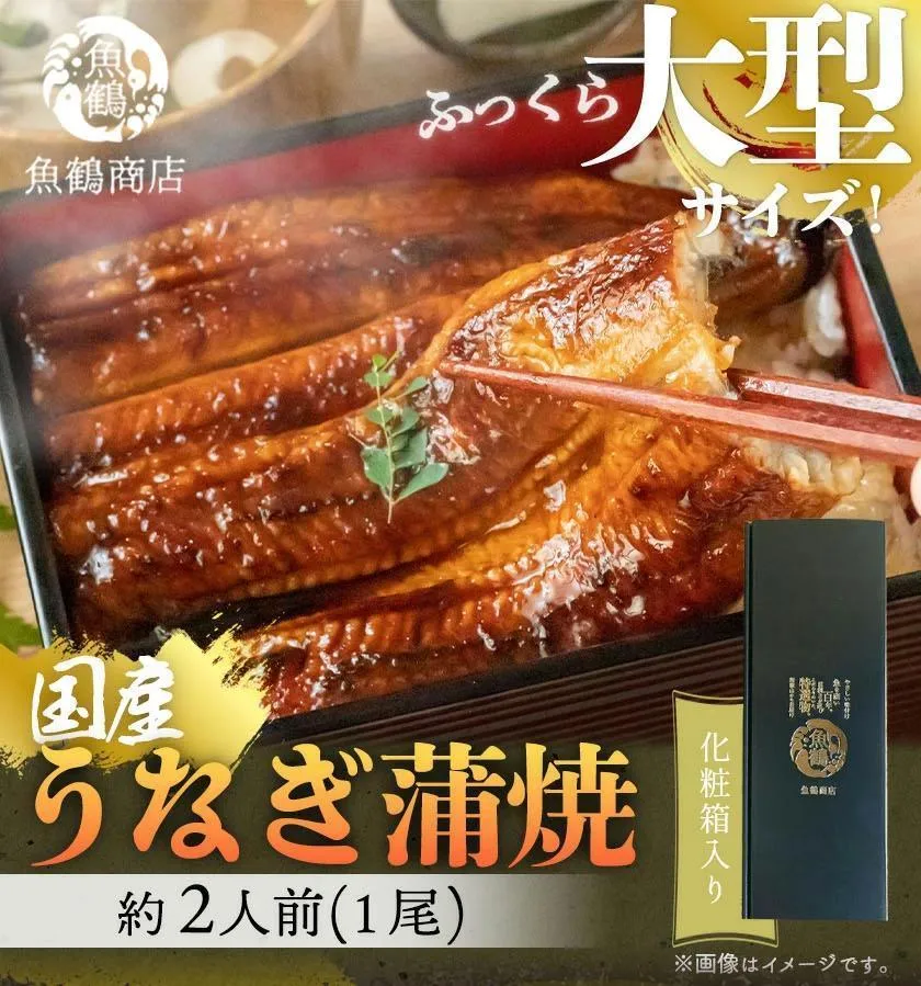 大型サイズ ふっくら柔らか 国産うなぎ蒲焼き 1尾（約2人前）化粧箱入［夏土用の丑の日のうなぎ］［～7月26日までにお届け］［UT04］