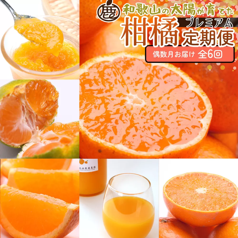 厳選 柑橘定期便S（偶数月）全6回［IKE286］