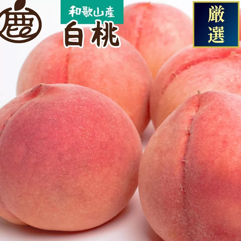 ＜7月発送＞和歌山の厳選白桃 約4kg［白鳳・清水白桃・川中島・もも・はくとう］［化粧箱入り］［IKE18］