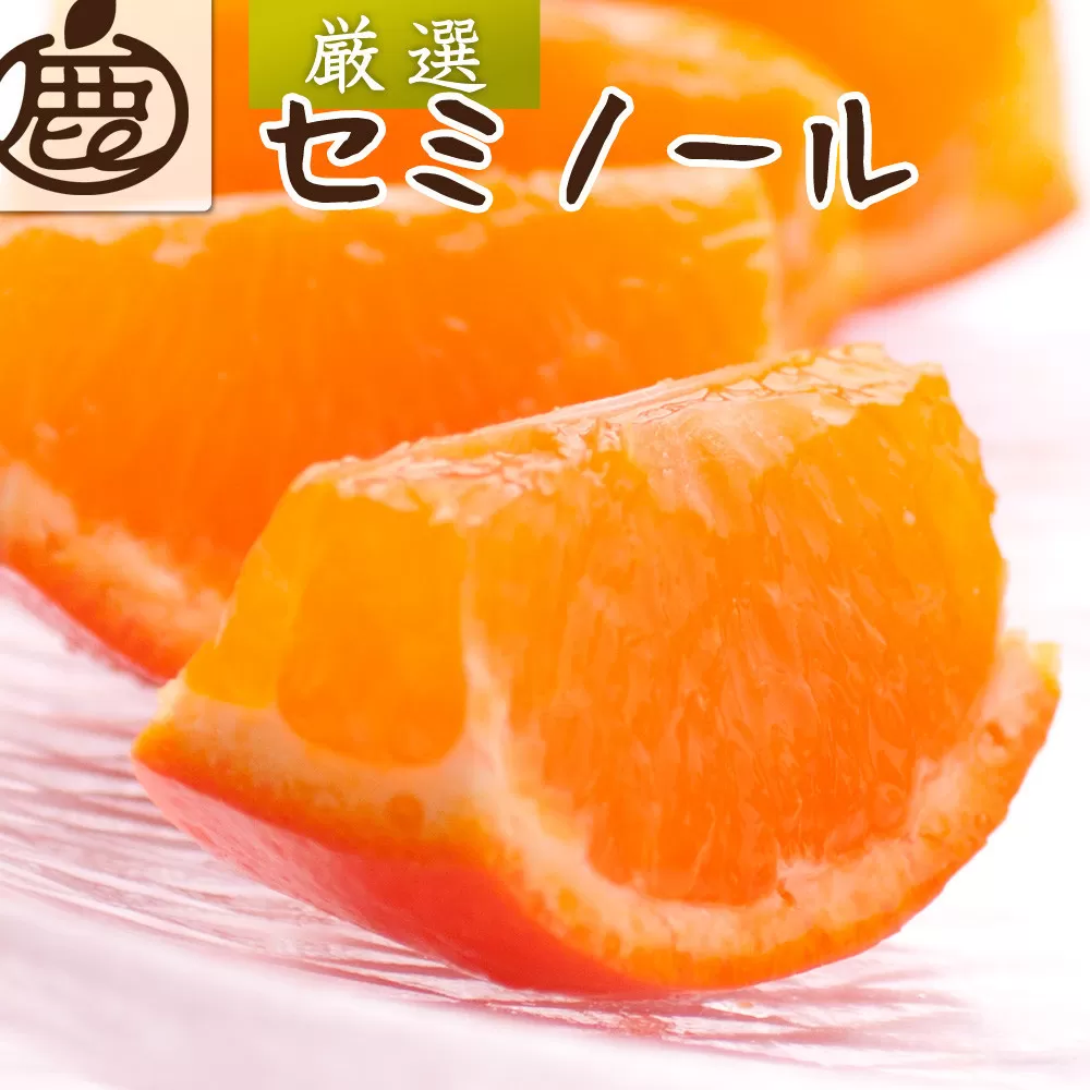 厳選 セミノールオレンジ 1kg+250g（傷み補償分）【春みかん】【有田産】【光センサー食べ頃出荷】 ［IKE275］