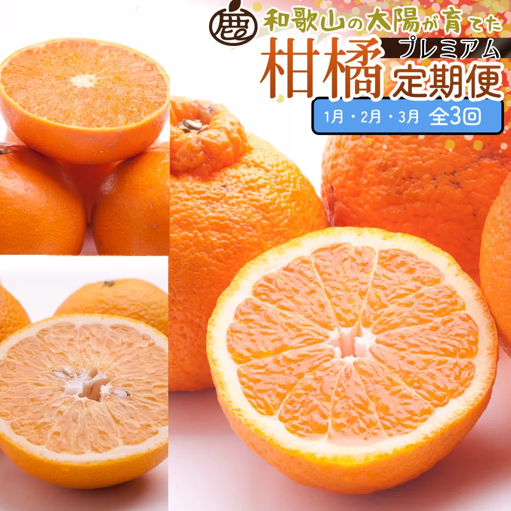 厳選 柑橘定期便M（1〜3月）全3回 ［IKE295］