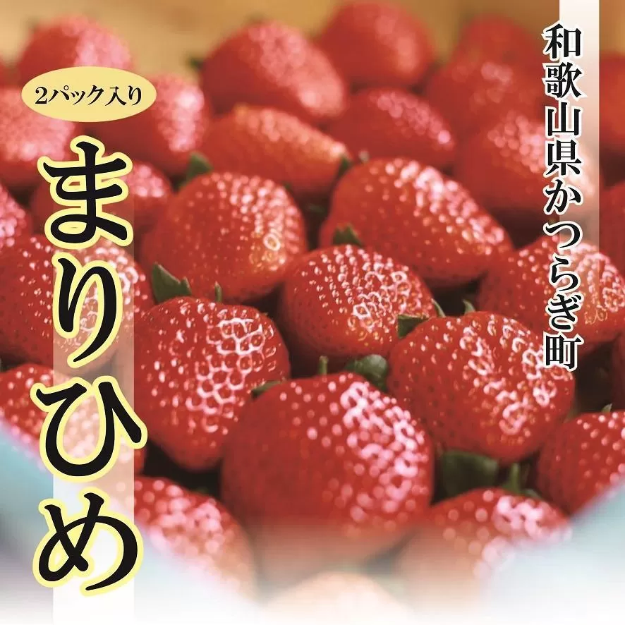 特選☆いちご【まりひめ】1月中旬から5月上旬まで発送【KF9】
