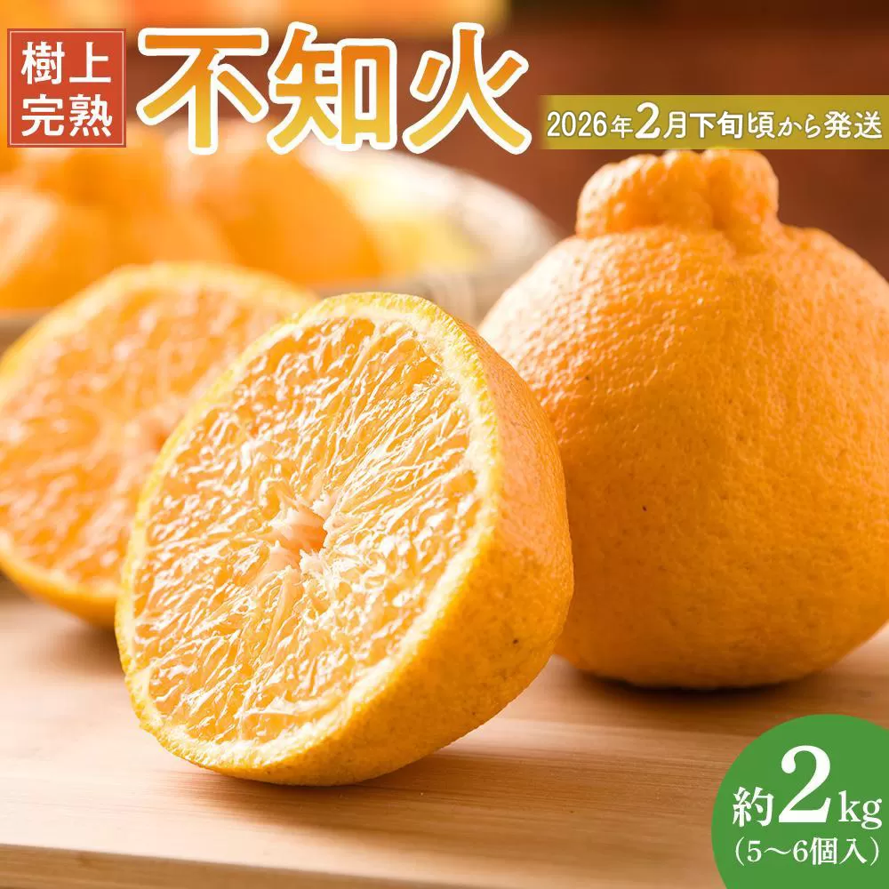 ［限定］不知火 樹上完熟 約2kg （5〜6個入）［2026年2月下旬頃から3月下旬頃発送］［KG6］