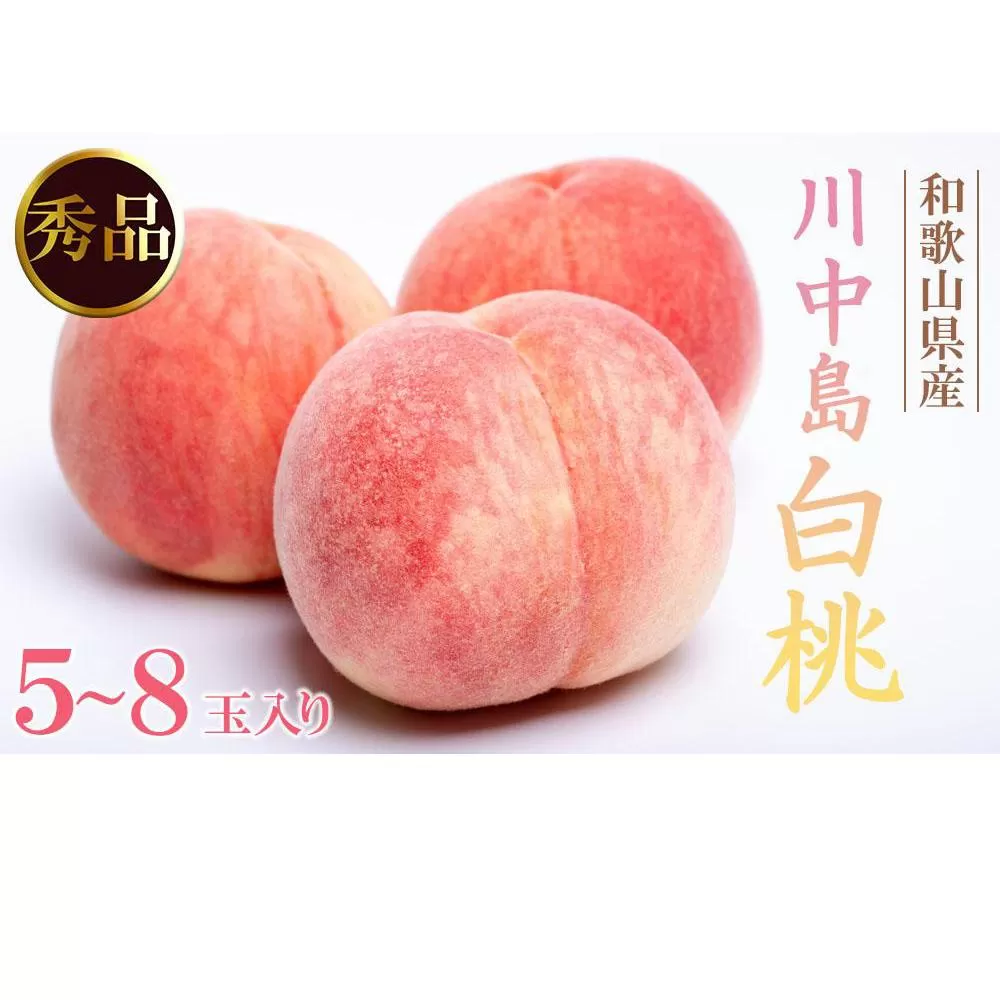和歌山県産 川中島白桃 5〜8玉入り 秀品 先行予約【2025年7月下旬以降発送】［MG7］