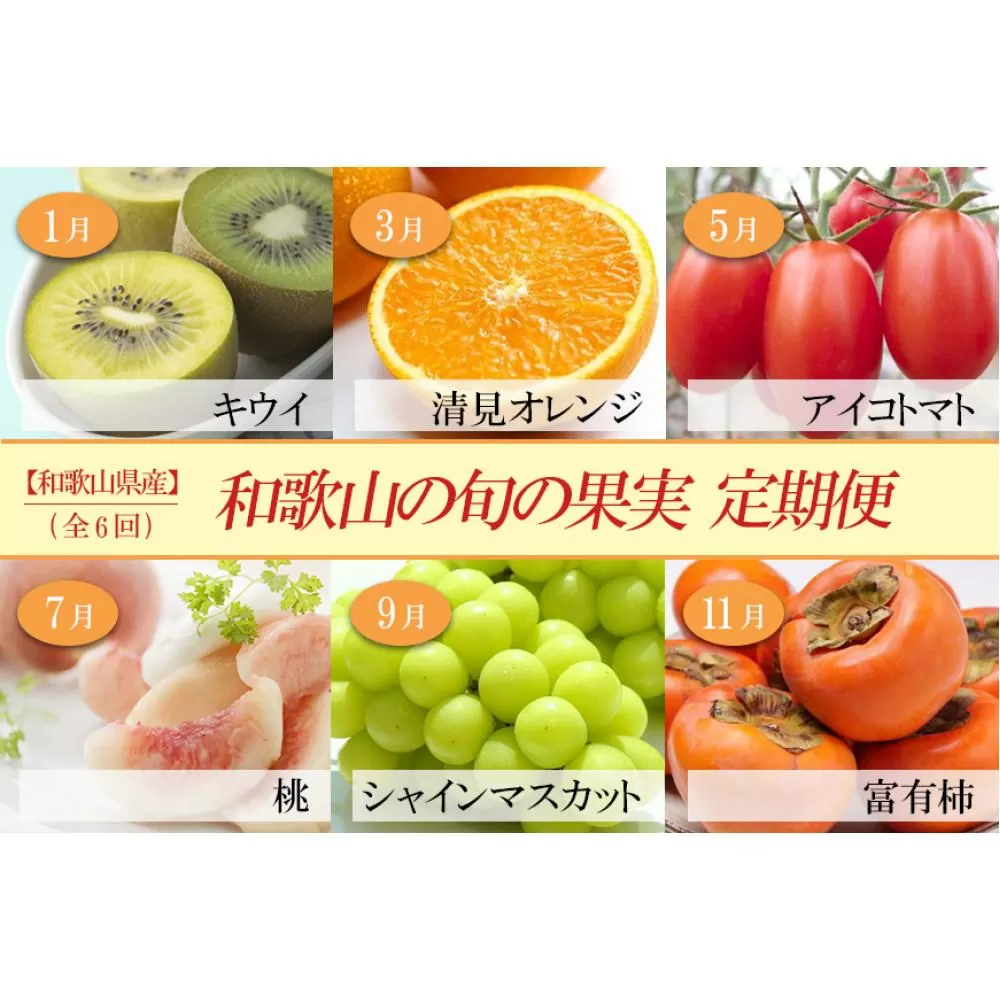 和歌山の旬の果実を 奇数月にお届け全6回定期便【TM49】
