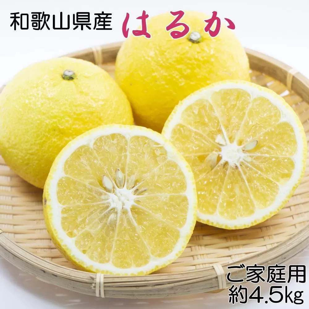 ［さわやか柑橘］和歌山県産はるかみかん約4.5kg（サイズ混合　ご家庭用）★2026年2月下旬頃より順次発送［TM161］