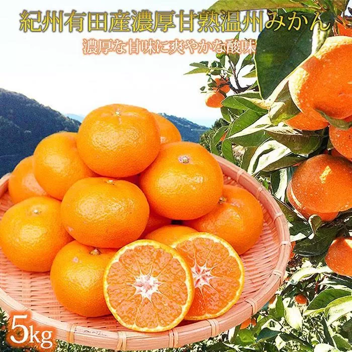 紀州有田産濃厚甘熟温州みかん5kg［2026年11月下旬以降発送］［先行予約］［UT09］