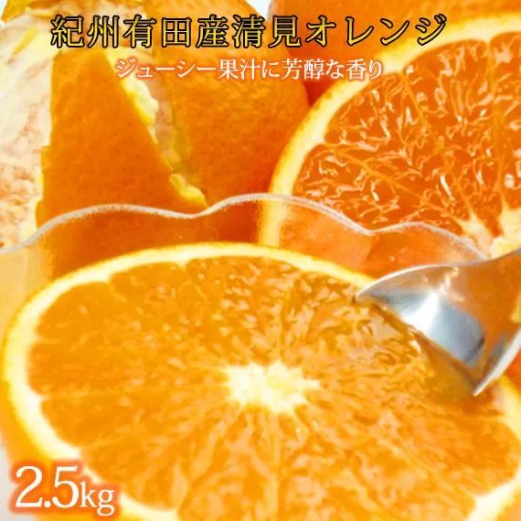 とにかくジューシー清見オレンジ 約2.5kg［2026年3月下旬以降発送］［先行予約］［UT131］