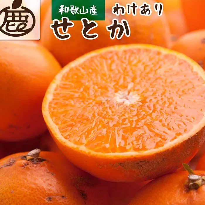 ［先行予約］家庭用 せとか2.5kg+250g（傷み補償分）［柑橘・春みかんの王様］［わけあり・訳あり］［光センサー選果・食べ頃出荷］［IKE62］
