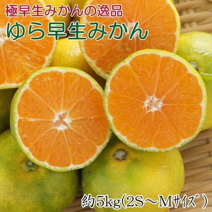 【極早生みかんの逸品】和歌山県産ゆら早生みかん約5kg★2025年10月中旬頃より順次発送【TM120】
