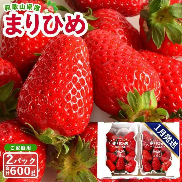 【ご家庭用（簡易包装）】和歌山県産まりひめ 1箱（2パック入り）【2026年1月お届け】［MG59］