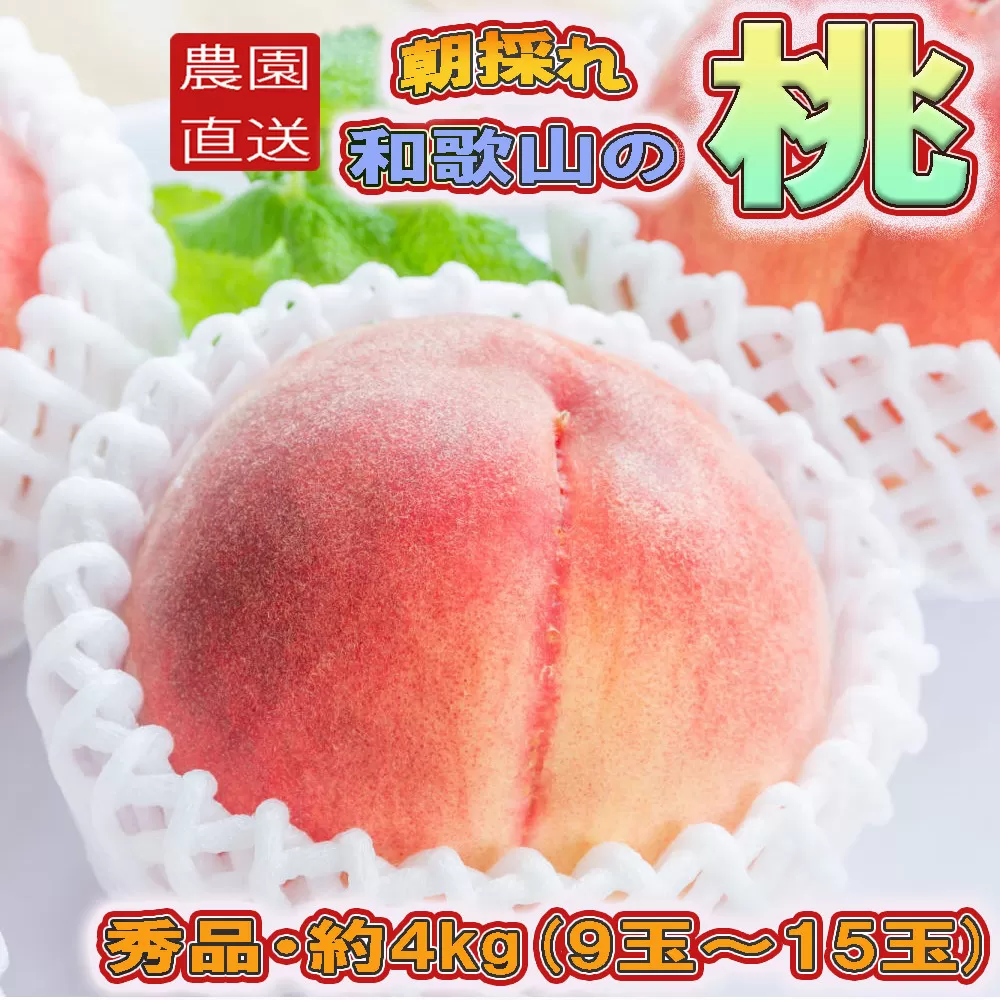 ［農園直送］朝採れ和歌山の桃　約4kg・秀品★2026年6月下旬～8月中旬頃順次発送★［TM168］