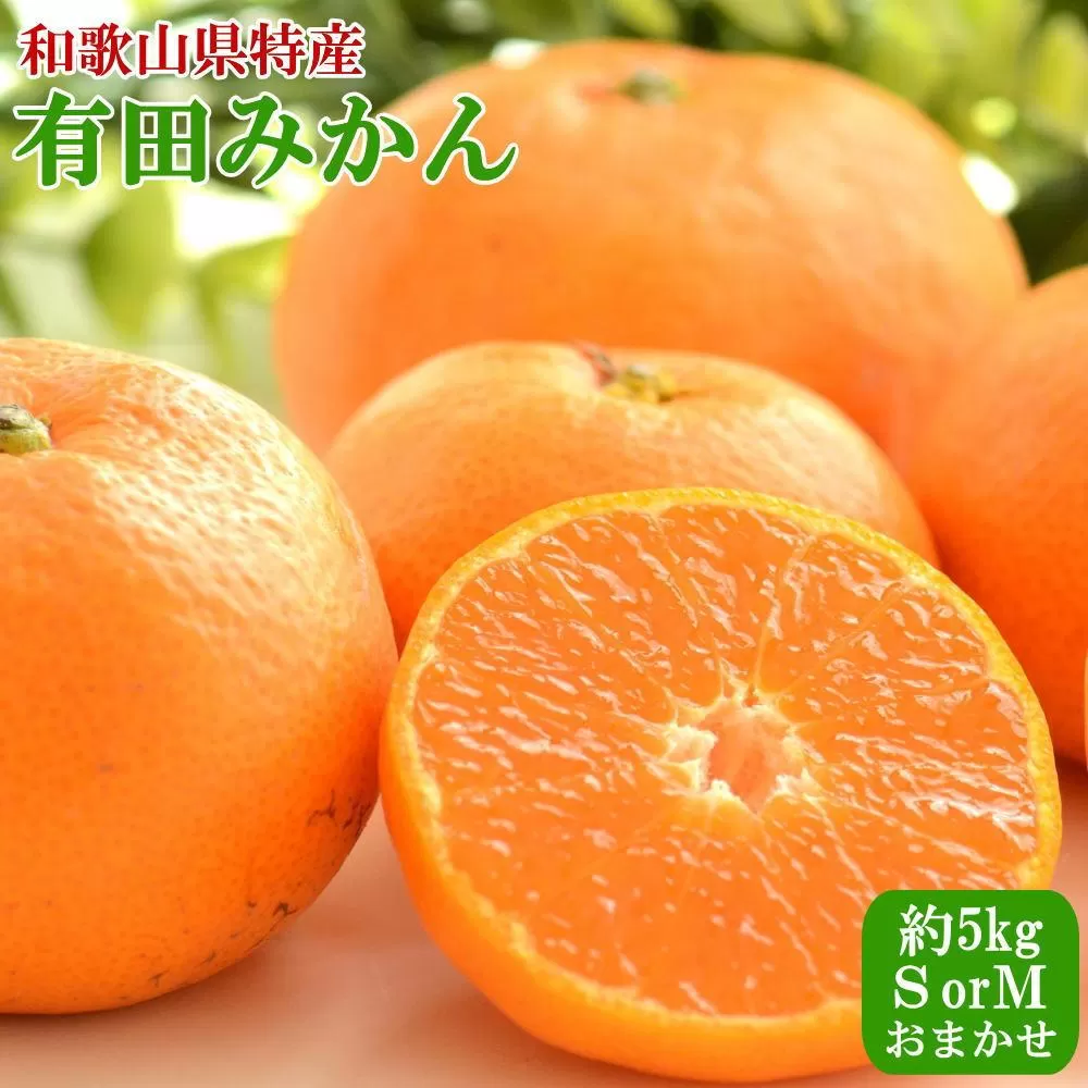 [秀品]和歌山有田みかん約5kg(SまたはMサイズ) ★2025年11月中旬頃より順次発送［TM97］