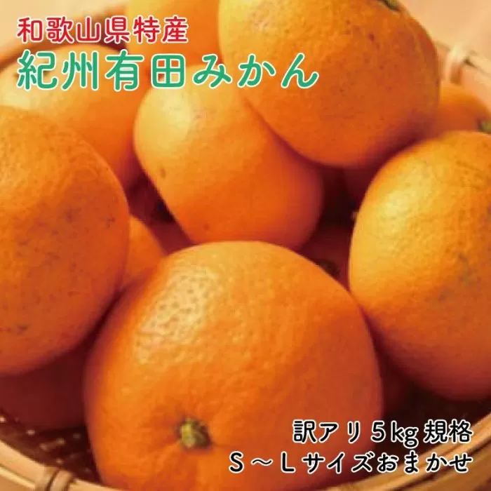 [訳あり]和歌山有田みかん約5kg（S〜Lサイズいずれかお届け）★2025年11月中旬頃より順次発送［TM81］