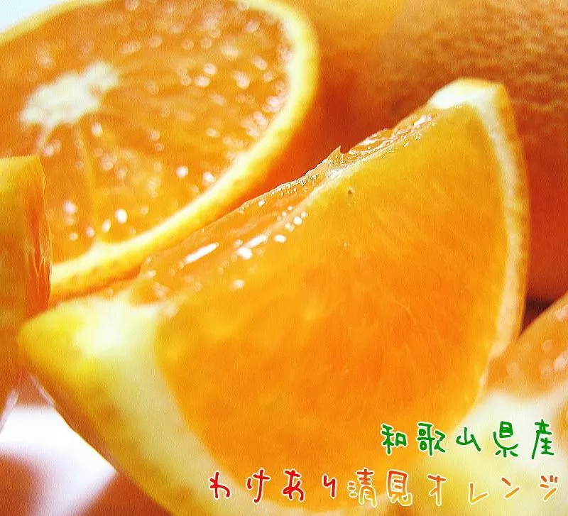 有田育ちの 完熟 清見 オレンジ（ご家庭用）約1.5kg［先行予約］［MS166］