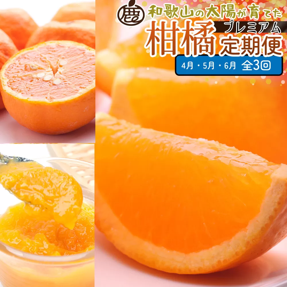 厳選 柑橘定期便M（4〜6月）全3回 ［IKE296］