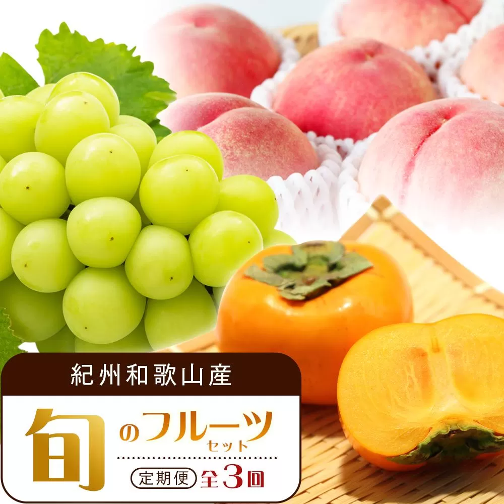 【7・8・10月 全3回】紀州和歌山産旬のフルーツセット（桃・シャイン・ひらたねなし柿）定期便 【魚鶴商店】【UT66】