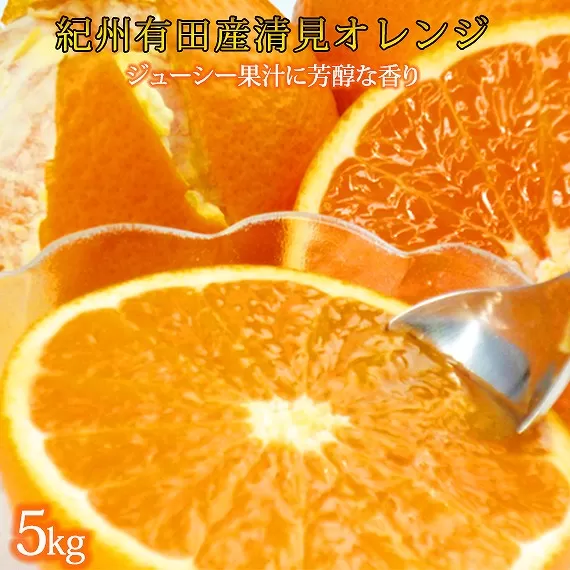 とにかくジューシー清見オレンジ　5kg［2026年3月下旬以降発送］［先行予約］［UT53］