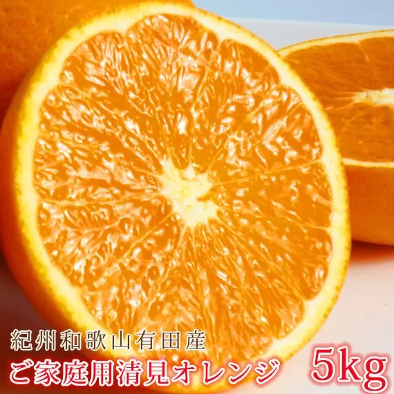 ［ご家庭用訳あり］紀州有田産清見オレンジ 約5kg［2026年3月下旬以降発送］［先行予約］［UT132］