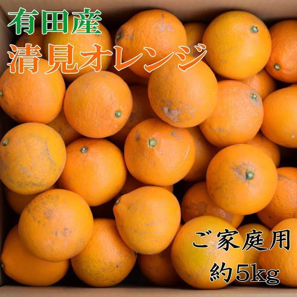 ［濃厚］有田産清見オレンジ約5kg(M～3Lサイズおまかせ、または混合)ご家庭用★2026年2月中旬頃より順次発送［TM211］